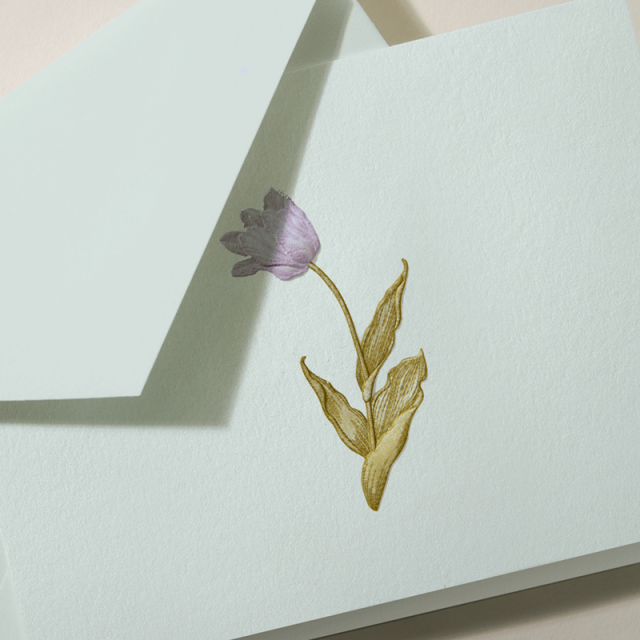 Crane/ボックスカード/Engraved Tulip Note Beach Glass Kid Finish(10 Cards / 10 Envelopes)