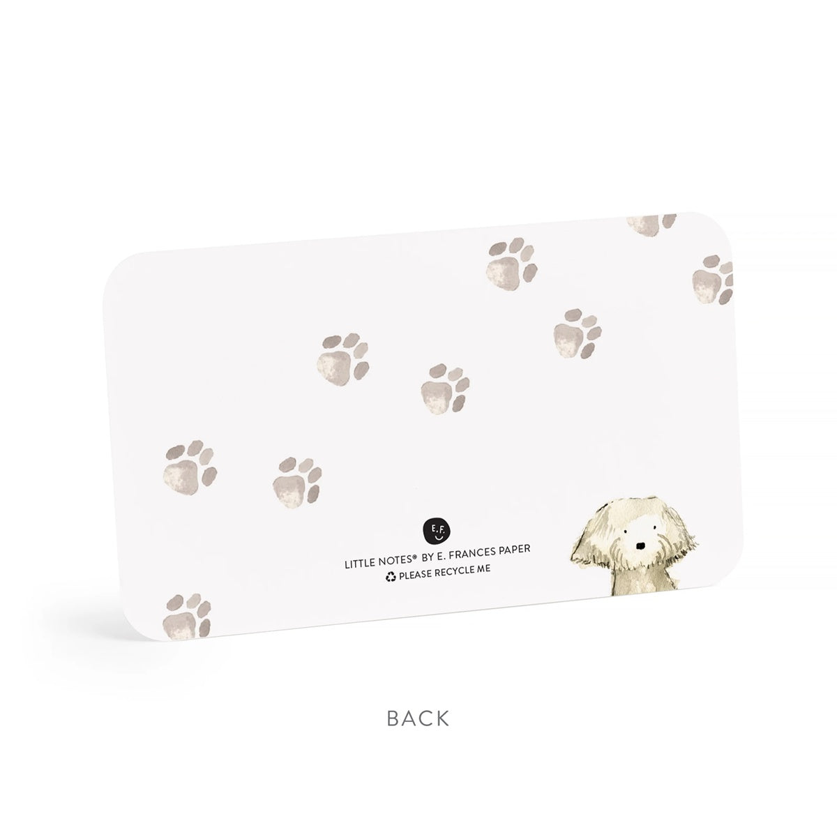 E.Frances/Mini Card Set/Dog Days Little Notes