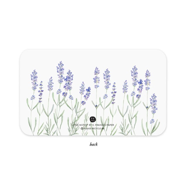 E.Frances/Set of 85 mini cards/Lavender Little Notes