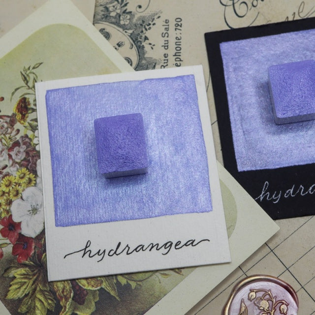 The Creative Kinds/Calligraphy Ink/Blooms Everlasting Set