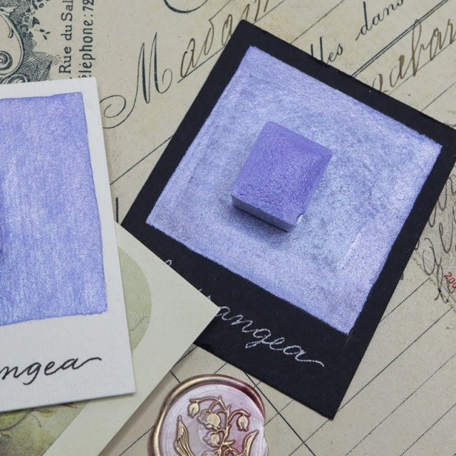 The Creative Kinds/Calligraphy Ink/Blooms Everlasting Set