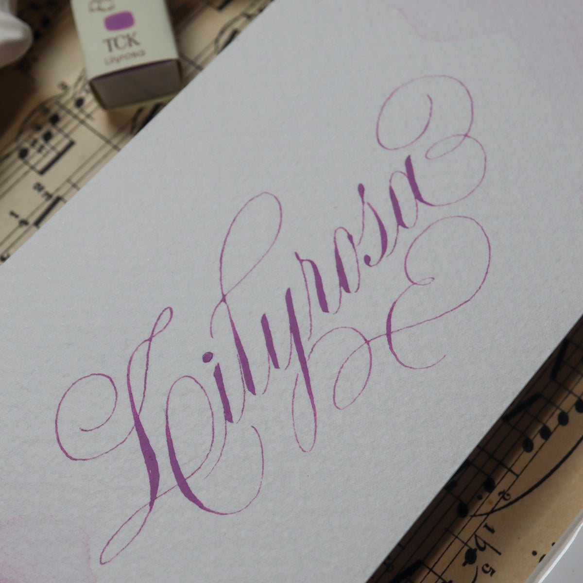 The Creative Kinds/カリグラフィーインク/Single Half Pan Crema - Lilyrosa