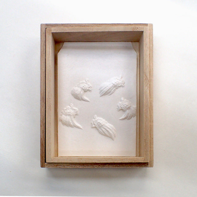 永田哲也/Envelope/お飾りぽち 風流 亀(桐箱入り)