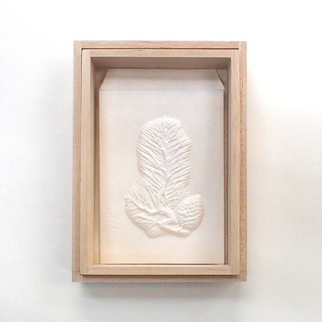 永田哲也/Envelope/お飾りぽち 風流 御松(桐箱入り)