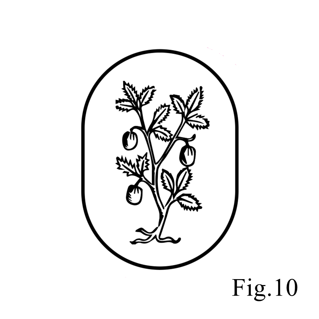 Raleigh Paper/シーリングスタンプ&ワックス/Antique Flora Brass Wax