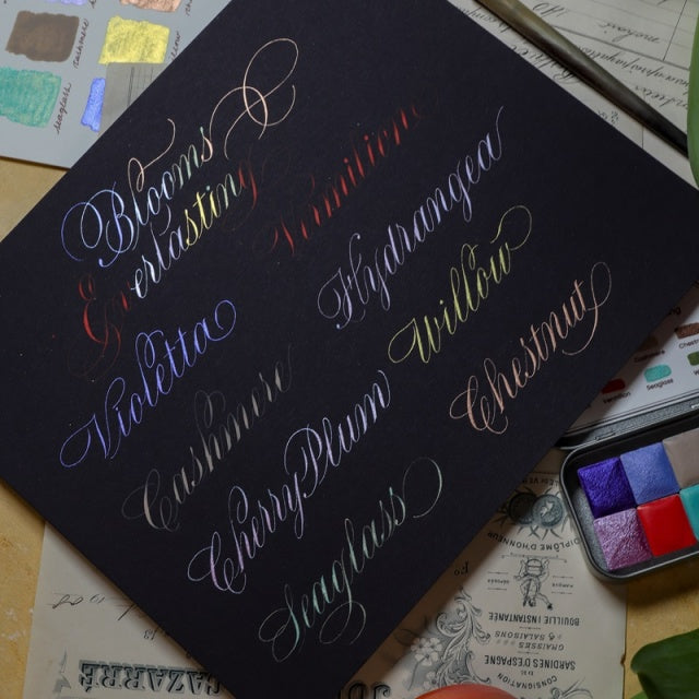 The Creative Kinds/Calligraphy Ink/Blooms Everlasting Set