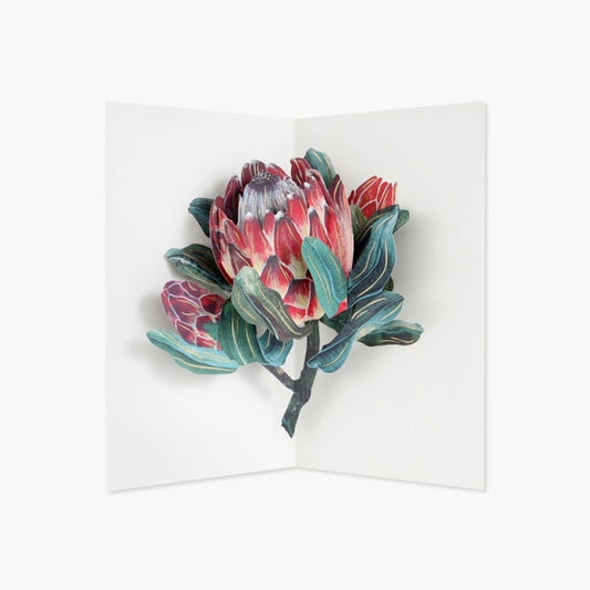 UWP LUXE/シングルカード/Protea by Hiromi Takeda