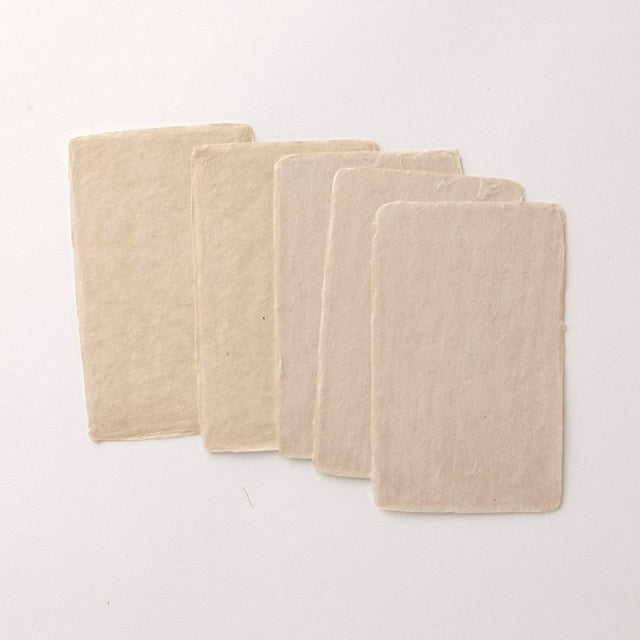 WACCA/Name card/Sekishu washi business card with mitsumata ears, 5 pieces