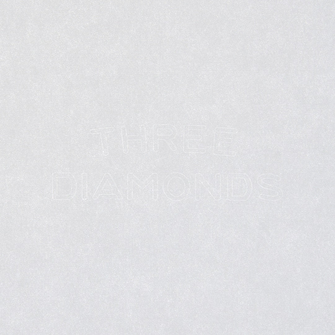 TAKEO PAPER PRODUCTS × Paper Tree/ペーパーノート/Dressco Paper Notebook L - 12th Anniversary Limited Edition