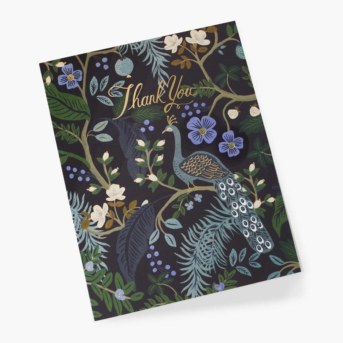 Rifle Paper/シングルカード/Peacock Thank You