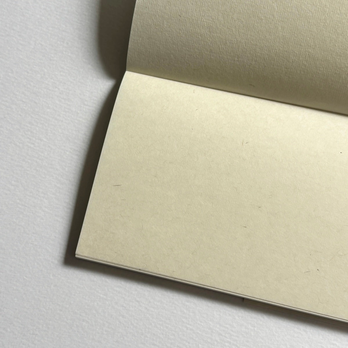 FUJI ROKKA/メモノート/和紙メモノート きなり