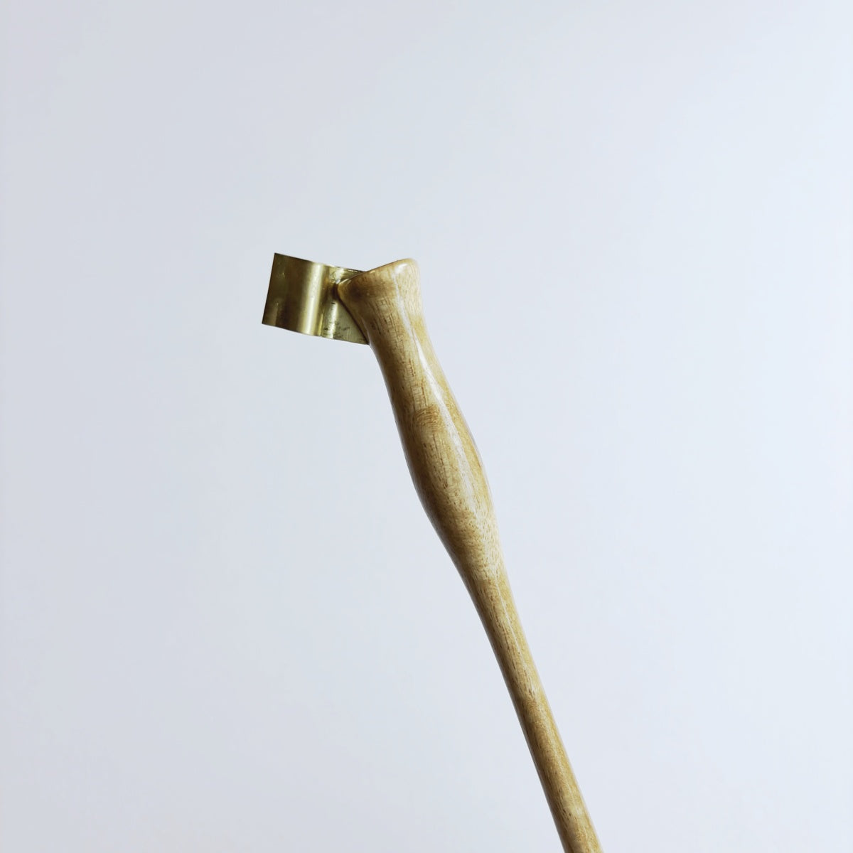 【８月20日(水)20時発売】Michael Sull/カリグラフィーホルダー/Calligraphy Holder - Pacific Myrtle