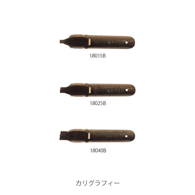 Brause/Calligraphy Nib Set/Nib Set - Calligraphy Nibs (Latin Calligraphy)