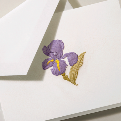 Crane/ボックスカード/Iris Note  Pearl White Card （10 Cards / 10 Envelopes）