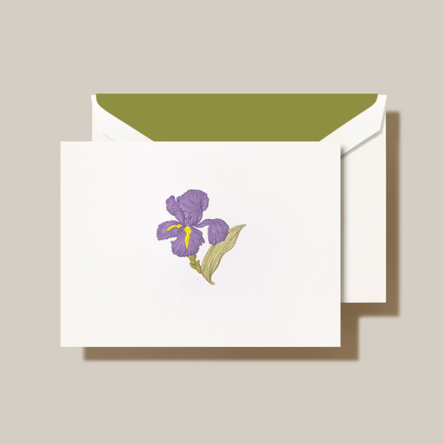 Crane/ボックスカード/Iris Note  Pearl White Card （10 Cards / 10 Envelopes）