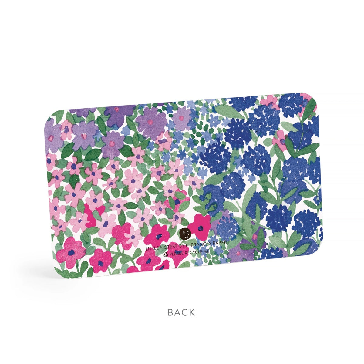 E.Frances/Mini Card & Envelope Set/Birdie Little Duo Set