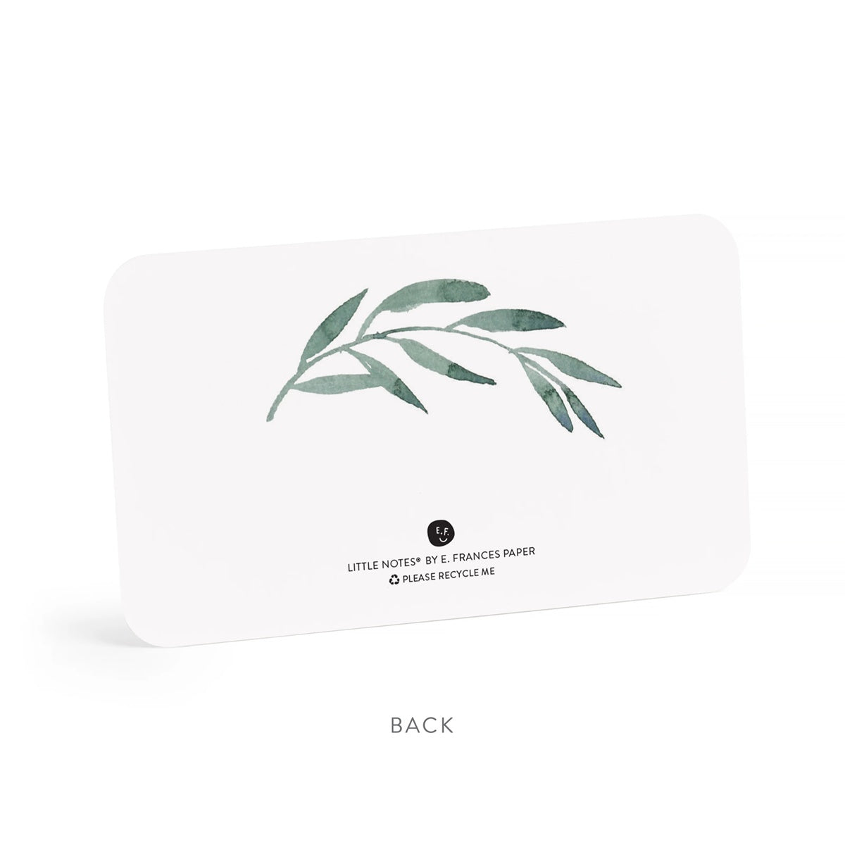 E.Frances/Mini Card Set/Olive Branches Little Notes