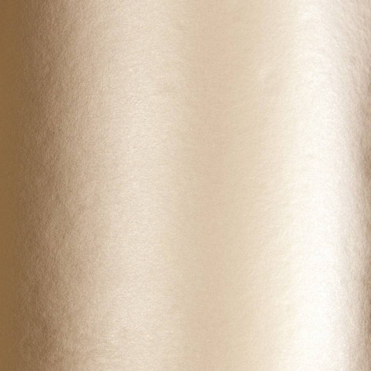 GOLD LEAF SUPPLIES/Gold Leaf/22.5ct Transfer Gold Leaf Champagne Extra 5Lvs