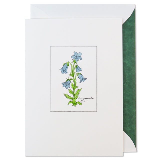 Jan Petr Obr/Single Card/Bell-Flower