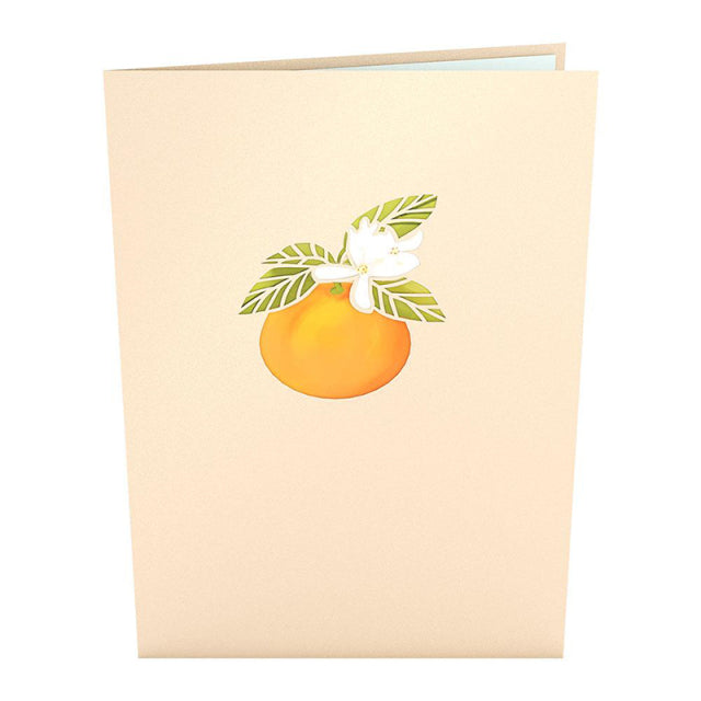 Lovepop/Single Card/Orange Blossom Tree