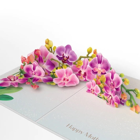 Lovepop/Single Card/Mother's Day Orchid