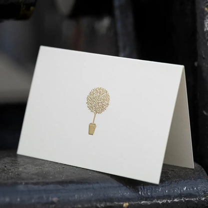 Mount Street Printers/ミニボックスカード/Olive Tree Gift Notecards