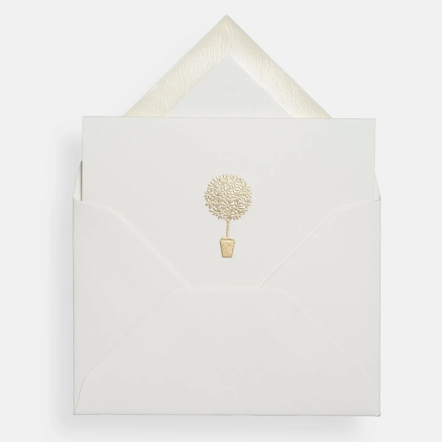 Mount Street Printers/ミニボックスカード/Olive Tree Gift Notecards