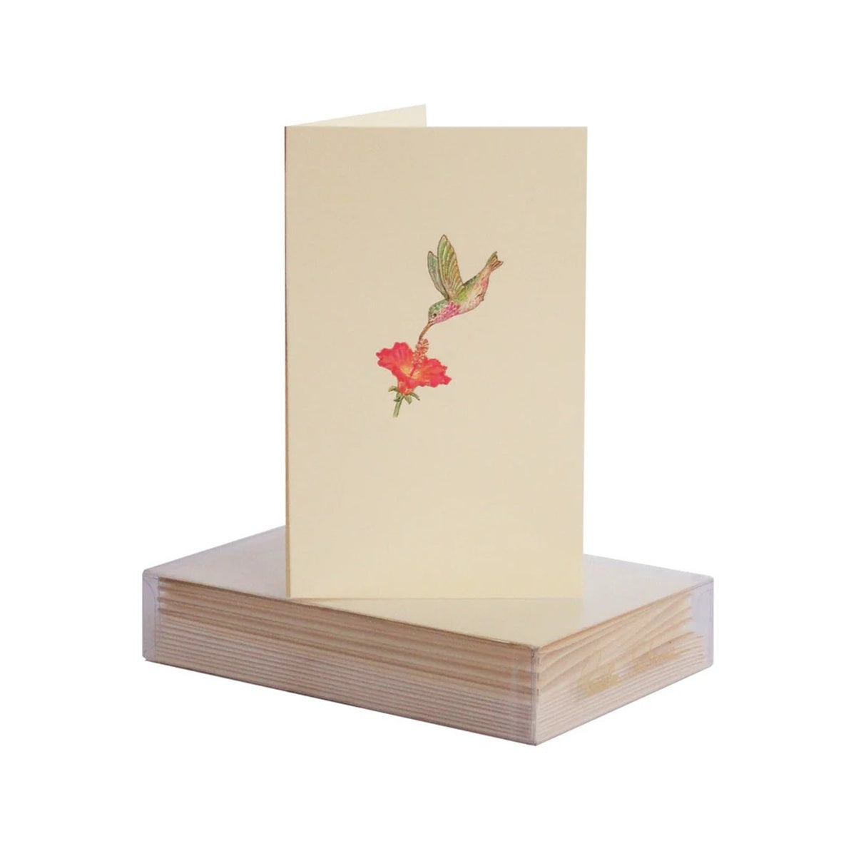 Paula Skene/Mini Card/Hummingbird Boxed Mini Note