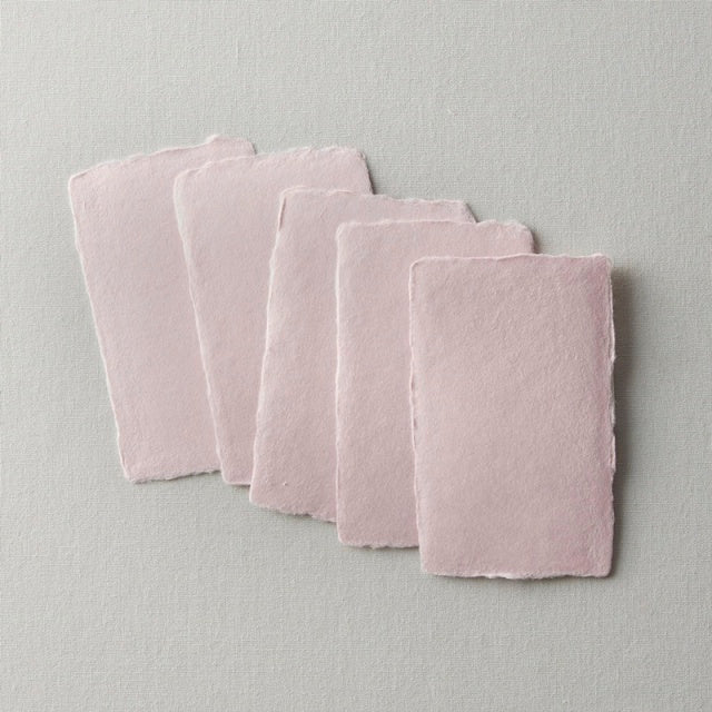 WACCA/name card/business card with ears pink 5 pieces