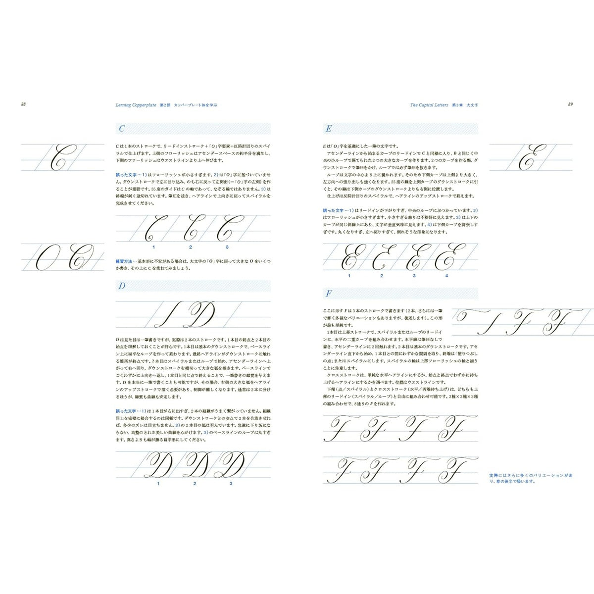 Eleanor Winters/Calligraphy Book/Mastering Copperplate Calligraphy: A Practical Process for Building a Foundation of Beautiful Lettering