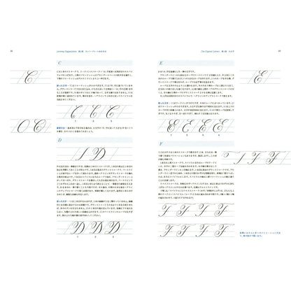 Eleanor Winters/Calligraphy Book/Mastering Copperplate Calligraphy: A Practical Process for Building a Foundation of Beautiful Lettering