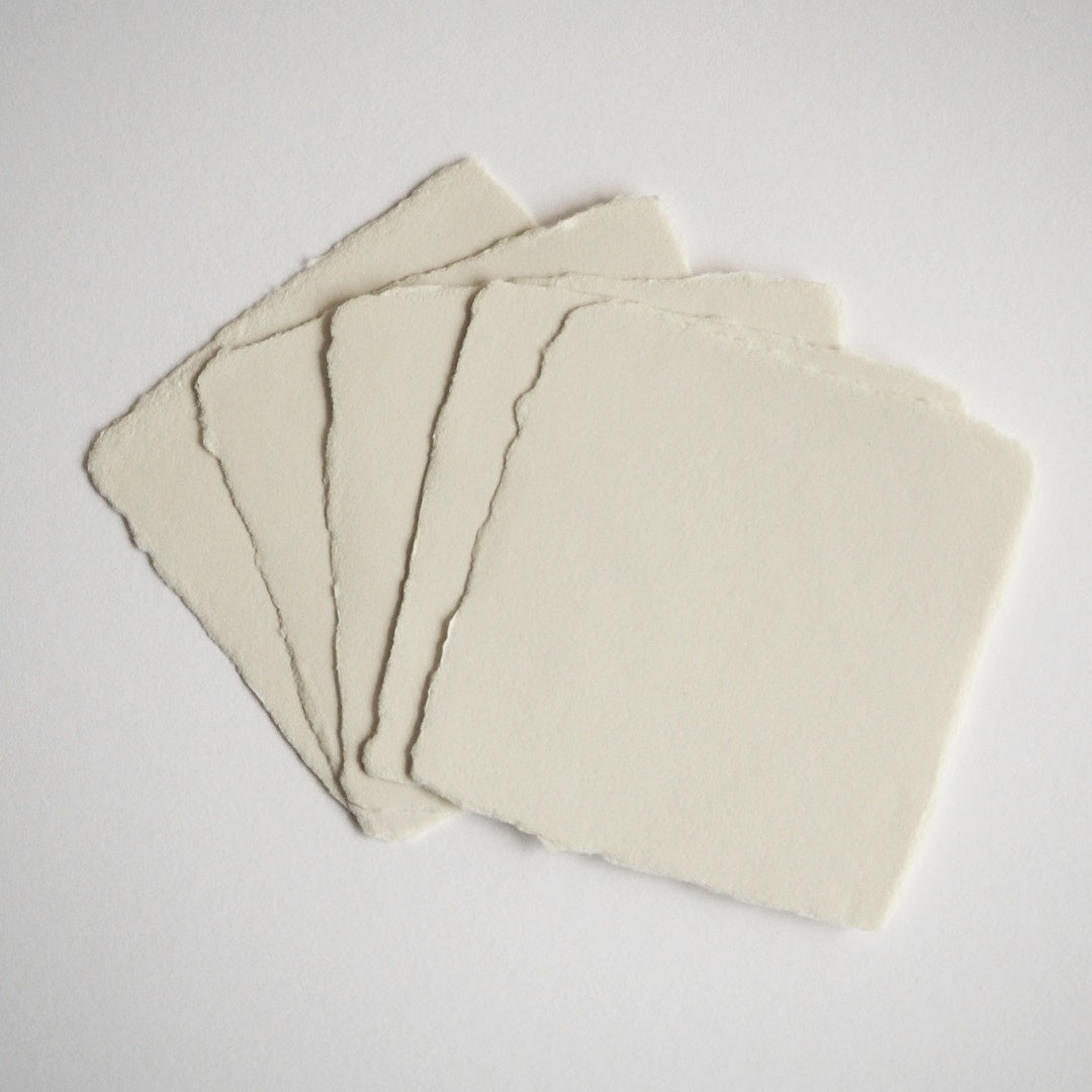 ELIV ROSENKRANZ/プレイスカード/Square Sheet 5枚Set - Bone