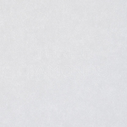 TAKEO PAPER PRODUCTS × Paper Tree/ペーパーノート/Dressco Paper Notebook L - 12th Anniversary Limited Edition
