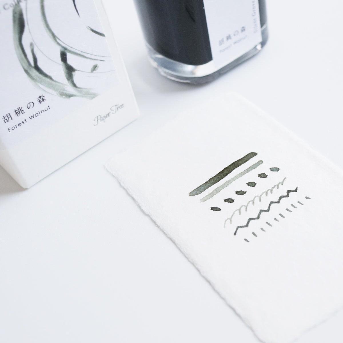 Paper Tree 13th Anniversary Silent Grove Collection/インク/Walnut Ink 胡桃の森 - Forest Walnut