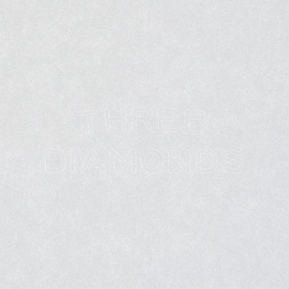 TAKEO PAPER PRODUCTS/ステッチノート/Dressco Stitch Notebook - Charcoal