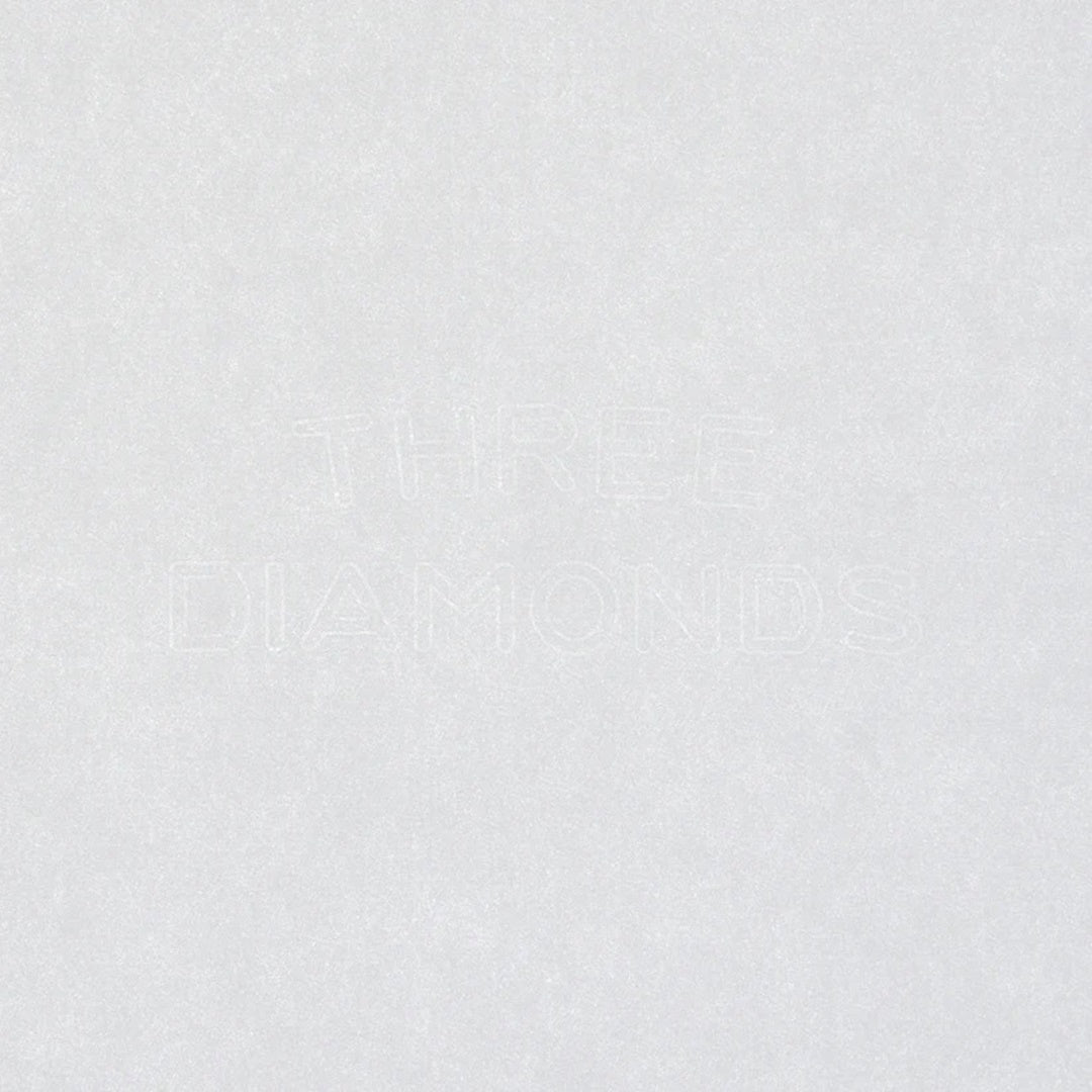 TAKEO PAPER PRODUCTS/Paper Notebook/Dressco Paper Notebook L - Champagne Gold