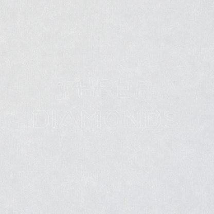 TAKEO PAPER PRODUCTS/Paper Notebook/Dressco Paper Notebook L - Champagne Gold