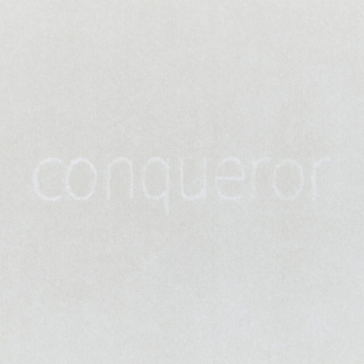 TAKEO PAPER PRODUCTS/クロスノートブック/Dressco クロスノートブック - ふじねず