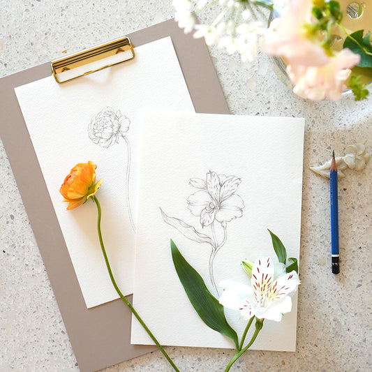 [DAIKANYAMA drawing] Shiho Sakurai - Seasonal flower sketch lesson 4/27