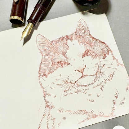 【DAIKANYAMA drawing】佐久間和子 - 写真をもとに動物のペン画を描こう 10/20・10/22