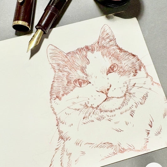 【DAIKANYAMA drawing】佐久間和子 - 写真をもとに動物のペン画を描こう 10/20・10/22