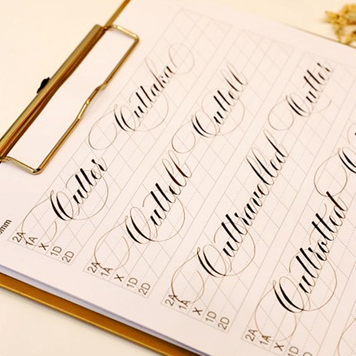 【Amruta Walvekarさん来日記念ワークショップ】Introduction to Flourishing – Beginners Guide（初級編）12/5