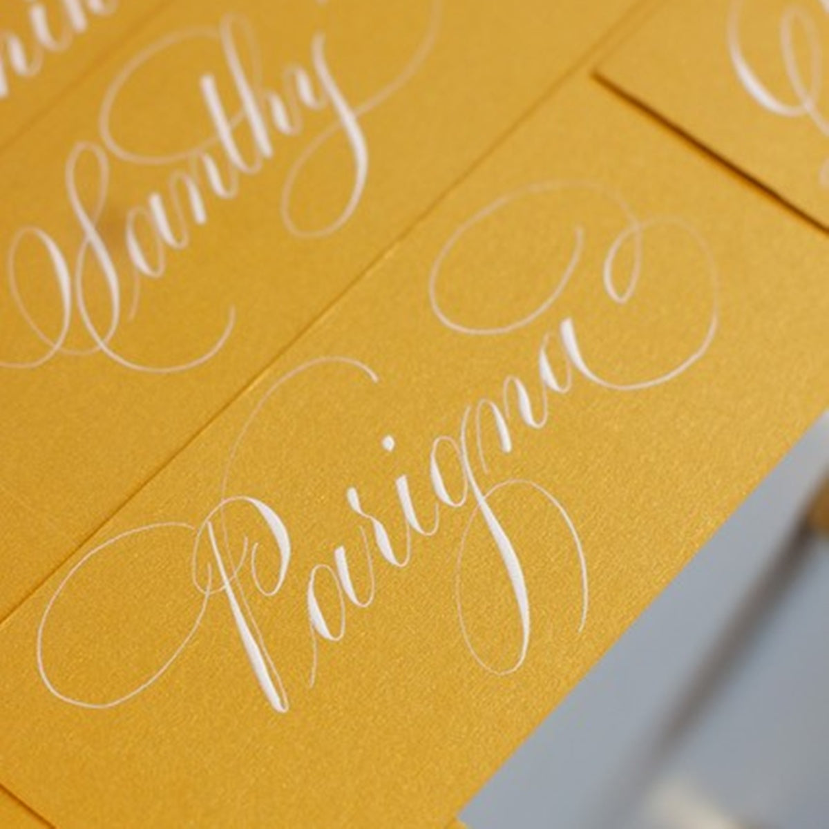 【Amruta Walvekarさん来日記念ワークショップ】Introduction to Flourishing – Beginners Guide（初級編）12/5