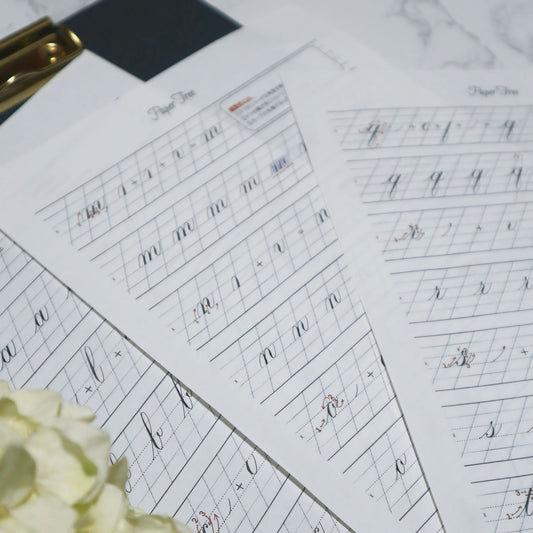 [Recruitment starts at 18:00 on 2/18 (Wednesday)] Rise Koizumi - Copperplate Basic Class April 2026 - September 2026 (6 times in total)