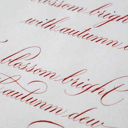 Rise Koizumi - Copperplate Advanced Class 2026年4月-2026年9月（全6回）